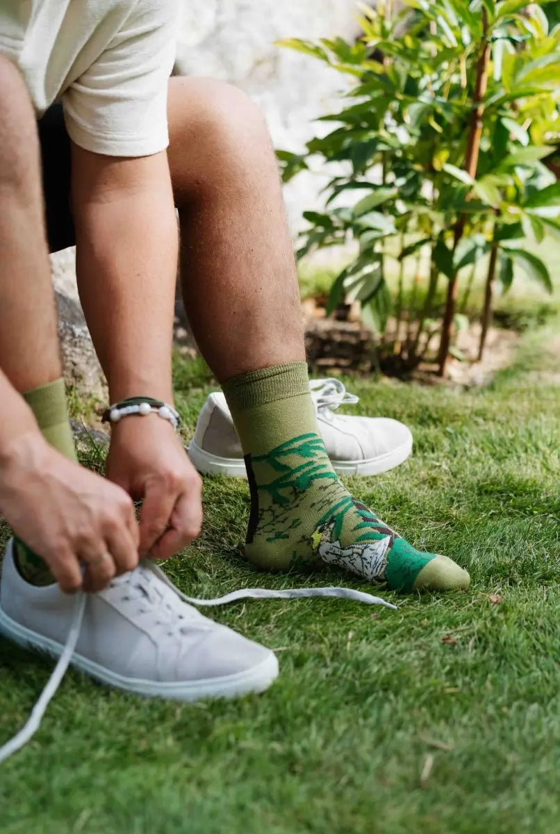 Oddlysocks Ekologiska Strumpor | Anders Zorn | Törnsnåret - TJÅKKO