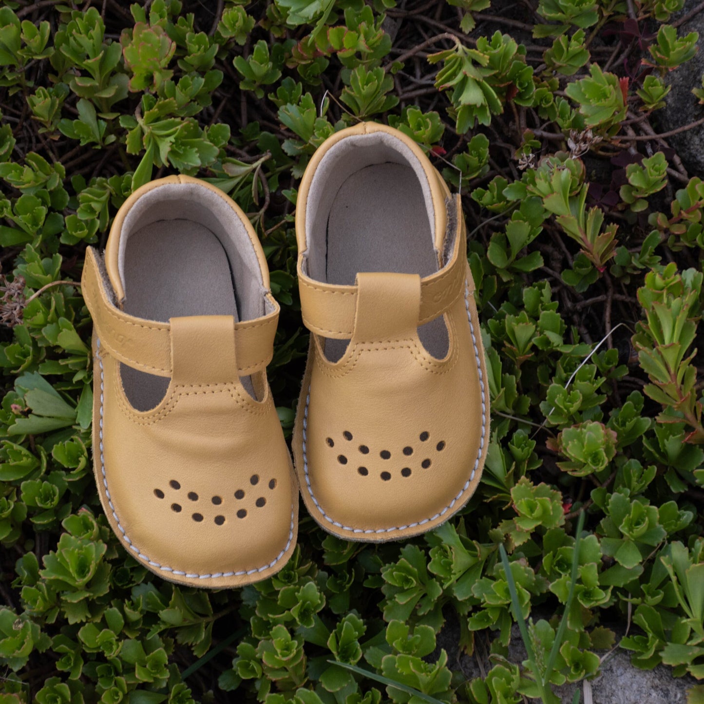 Lustig OmaKing TJÅKKO Shoes & Adventure