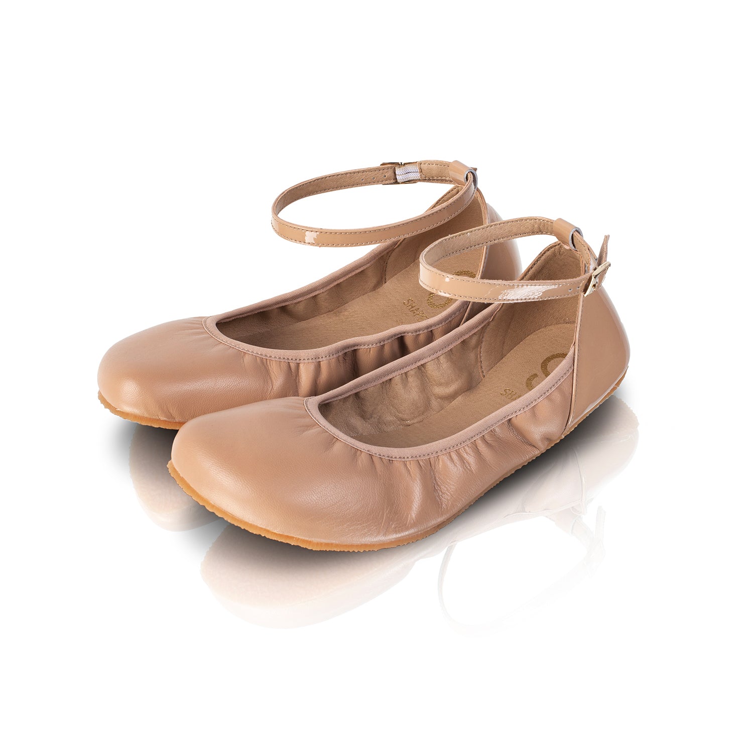 The shape | Tulip 3.0 | Ballerina