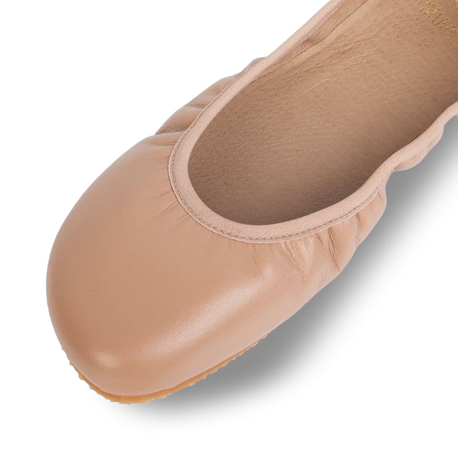 The shape | Tulip 3.0 | Ballerina